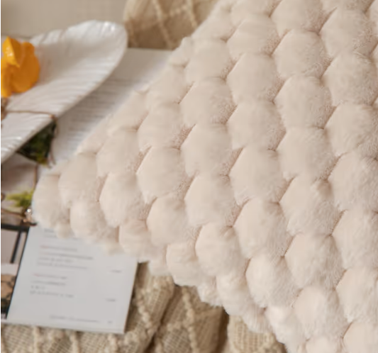Beige Super Soft Plush Cushion Covers Pack of 2 Faux Fur Decorative Pillowcases – 22x22in