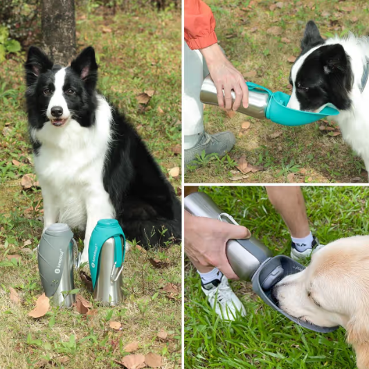 LumoLeaf Portable Dog Water Bottle 800ml Stainless Steel Dispenser for Travel – Grey